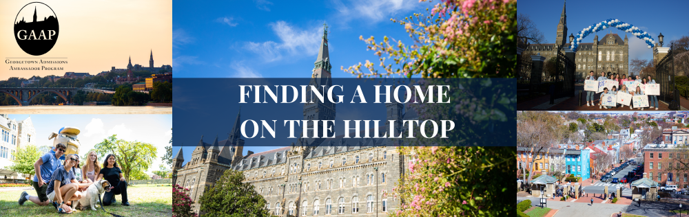Finding Home on the Hilltop
